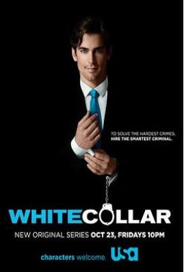 《妙警贼探 第一季》全集/White Collar Season 1 《妙警贼探 第一季》全集/White Collar Season 1