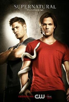《邪恶力量 第六季》全集/Supernatural Season 6 《邪恶力量 第六季》全集/Supernatural Season 6
